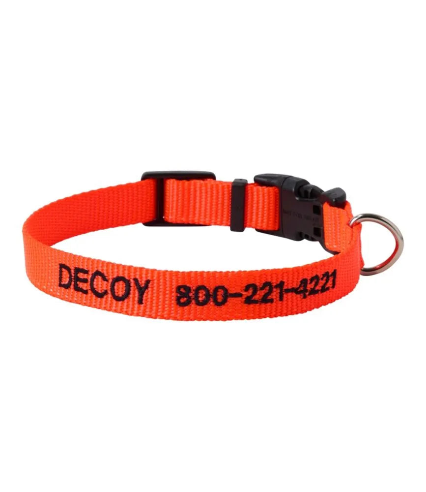 Personalized Pet Collar